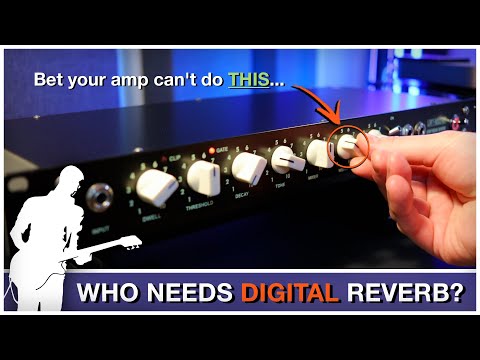 Spring Reverb at Its BEST! | Your Secret Weapon in the Studio (Surfybear Reverb - Studio Edition)