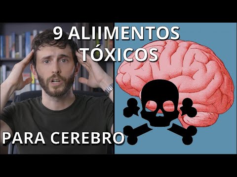 Una Lista De Alimentos Que Dañan La Capacidad Cognitiva Del Cerebro