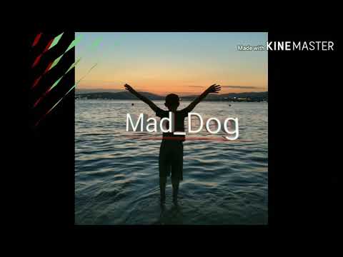 Какое интро вам нравится больше?