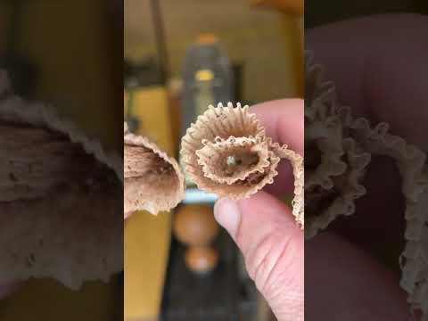 MOST IMPORTANT tip for hand plane setup #shorts