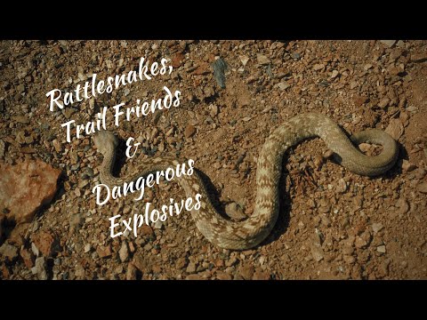 How to Section Hike the PCT -  Ep 3:  Lake Morena to Mt Laguna