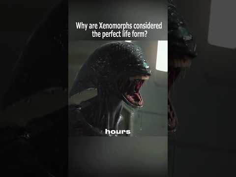 Why are Xenomorphs considerd the perfect life form?