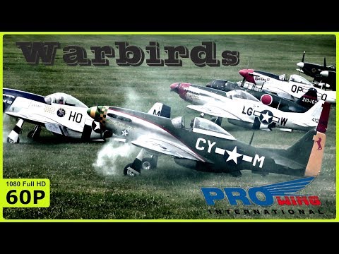 9 WARBIRDS OVER BAD SASSENDORF | VERY SPECIAL - NINE AMAZING WARBIRDS IN THE AIR -  PROWING 2019
