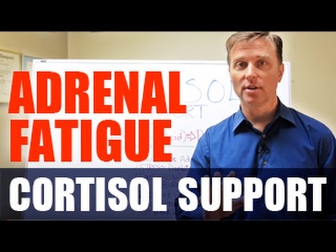 Adrenal Fatigue Is Cortisol Responsible for Your Diabetes Dr Berg
