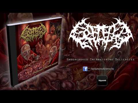 Splattered Entrails - Hollowing Out Little Female Virgin Crotches [HQ]