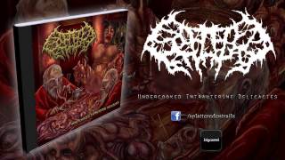 Splattered Entrails - Hollowing Out Little Female Virgin Crotches [HQ]