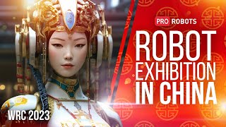 The world's largest robot exhibition in BeiJing, 2023