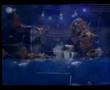 The force john kelly maite itoiz videoclip 