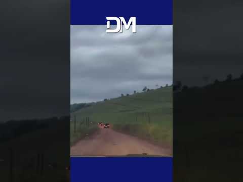 Operação conjunta cumpre 12 mandados e apreende armas em Rio Casca