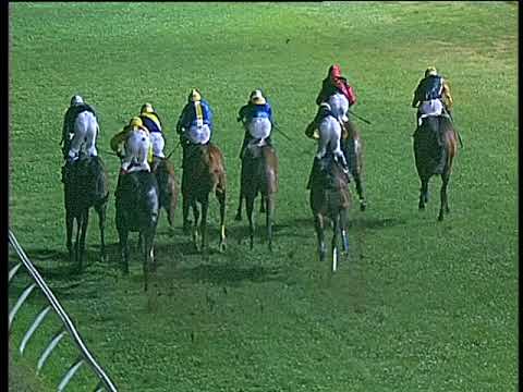 Galoppo 08/11/2017 - 6ª corsa