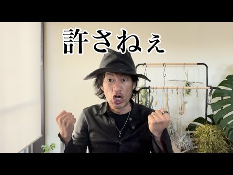 トガリネズミを庭から追い出したほうがいいでしょうか？やり方は？私たちは本物と偽物を区別します！  庭園