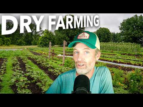 Innovative Strategies for Agriculture in Water-Scarce Environments