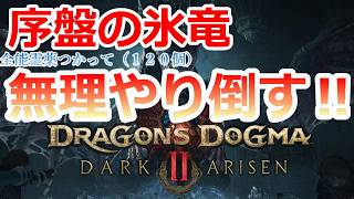 PC 「#03」 DLC 序盤の氷竜を全能霊薬使って無理やり倒す！『ドラゴンズドグマ2：ダークアリズン』