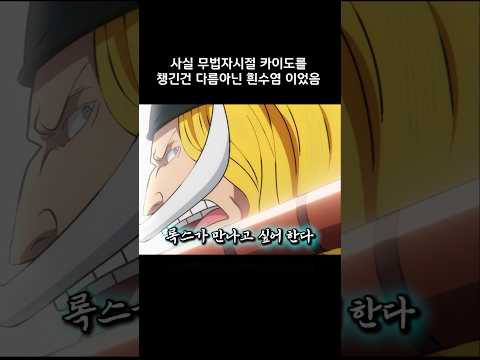 사실 무법자시절 카이도를 챙긴건 다름아닌 흰수염 이었음