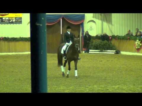 Fiderdance Stallion Show Bon Homme - Kathmann - Vechta 2012