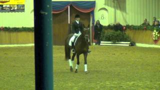 Video von Fiderdance