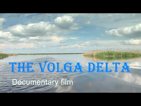 Nature of Russia. The Volga Delta.