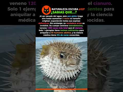 El Peligro Oculto De Su Crecimiento x3 100% 🌊 #curiosidades #ciencia #naturaleza