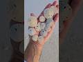 TIPS for finding Sand Dollars 👍 | Sand Dollar Sunday