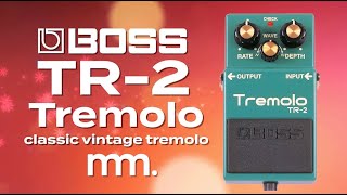 Video thumbnail for MusicMaker Presents - BOSS TR-2 TREMOLO: Classic Vintage Tremolo @BOSSinfoglobal by Musicmaker