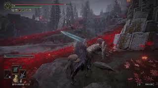 エルデンリングDLCをやる年単位ぶりの魔法剣士part3