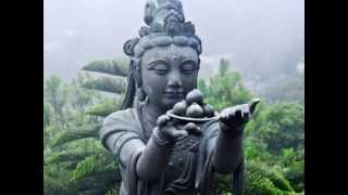 &quot;Get Together &quot; by the Young Bloods