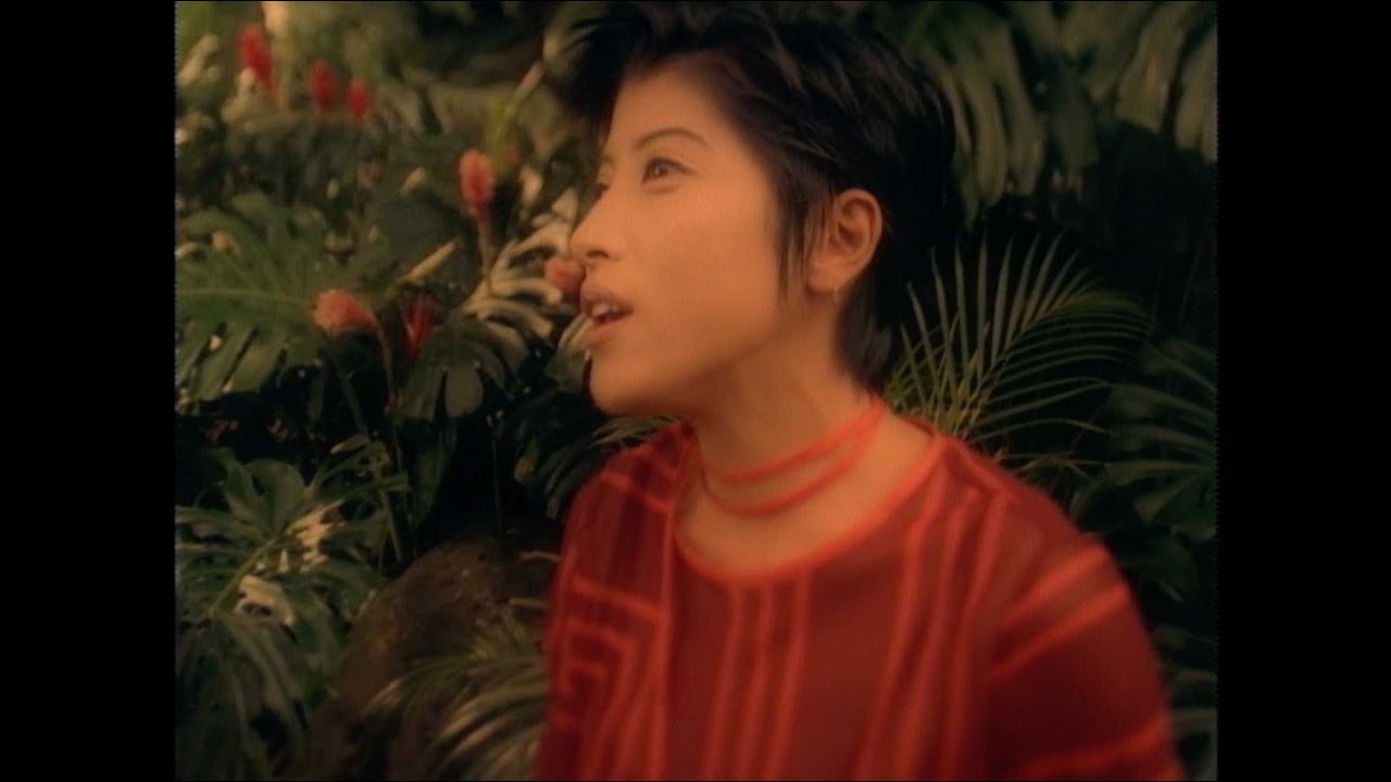 LEGEND OF WIND / TRF