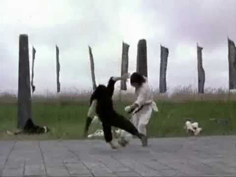 Fighter in The Wind music video