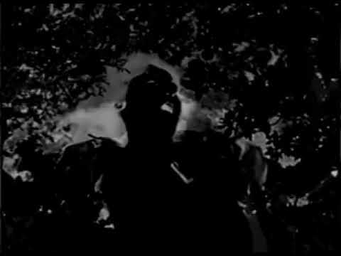 The Undertaker's Tapes - Survivor's Guilt  [official video]