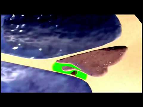 O Funcionamento do Ouvido Humano   Percepção