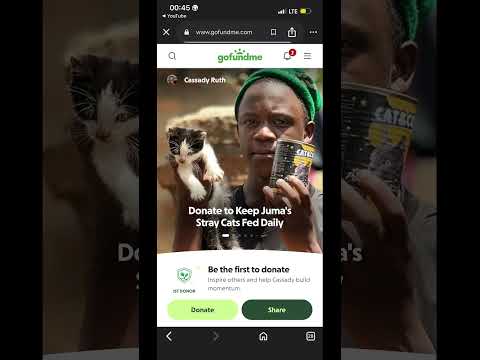 Please help my cats and donate a Gofundme liink in bio please #fypシ #losangeles #chicago #usa #fypシ