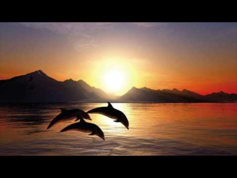 Johnny Pindakaas feat. Peter Hagelslag - L'amour (Instrumental - 2017 Remastered)