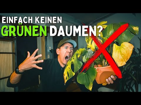 This will help your houseplants survive 💚 Preparation and care - mineral substrate episode 4