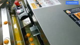 Download lagu Máquinas increibles: Rompedora de huevos mp3