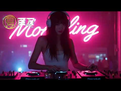 『INE』 越南 华文 越南 BY DJ BRYAN VNS 1