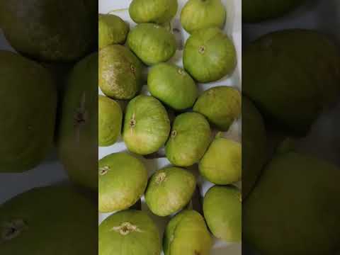 subra tamis nag prutas na ito Wala tomsa.pinas #viral  #shortvideo #amizing #figs #fruit