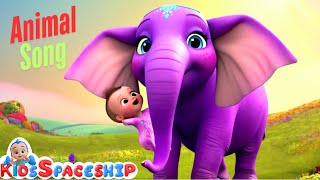 Ziggle-Zaggle Zoo - A Colorful Animal Poem Song for Tiny Tots | Kids Spaceship | Nursery Rhymes