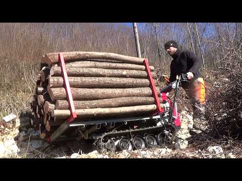 La motocarriola della domenica