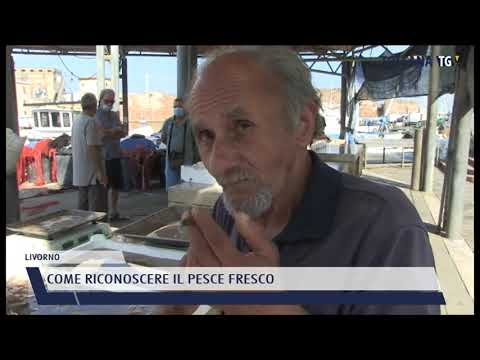 2021-09-16 LIVORNO - COME RICONOSCERE IL PESCE FRESCO