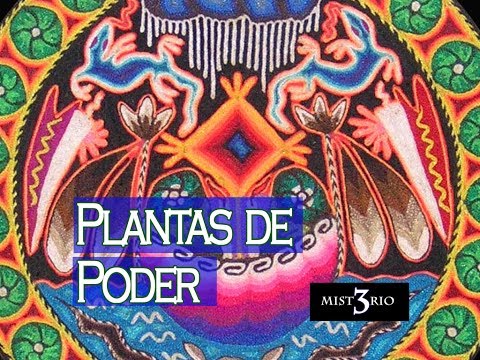 Misterio 3: Plantas Sagradas o de Poder