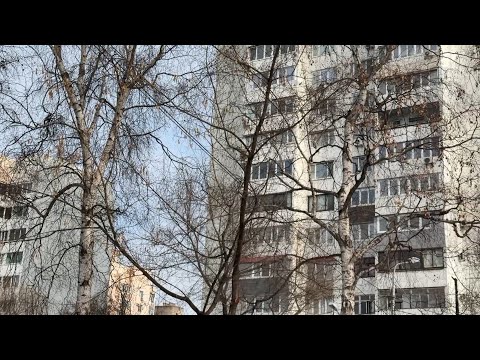 🌡 Без погодных сюрпризов завершится январь в Уссурийске