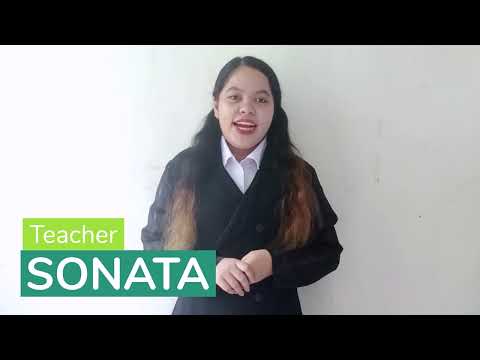 Sonataのプロフィール動画