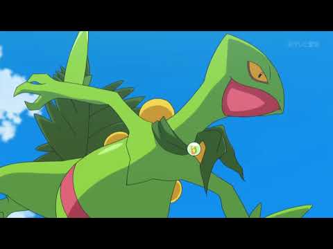 Pokemon AMV   Courtesy Call   Kalos League Showdown   YouTube
