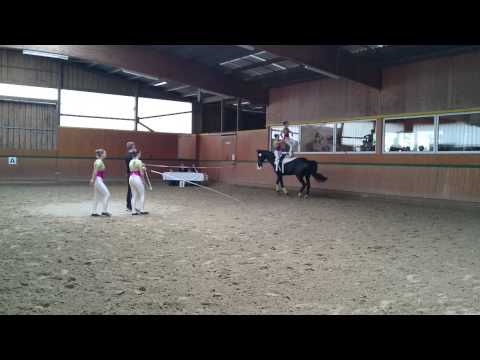 L-Team Ravensberg-Lippe - Kür in Halle (Westfalen)