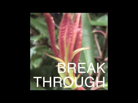 Breakthrough (Original Mix)