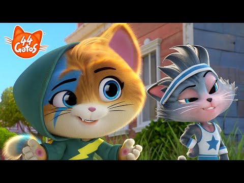 44 Gatos | Latinoamérica | Olympio, ¡el gato deportista más grande del mundo!