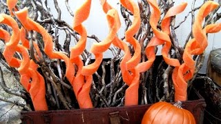 Pool Noodle Halloween Decorations ~ Featuring Miriam Joy