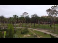 Animal Stampede At Disney