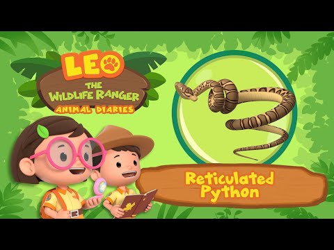 Witness21 Editor  2022 07 17