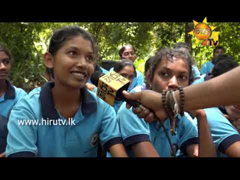 Hiru TV